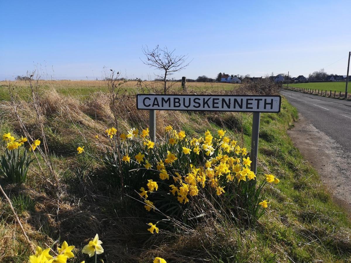 דירות The Cambus Flat Cambuskenneth סטירלינג מראה חיצוני תמונה
